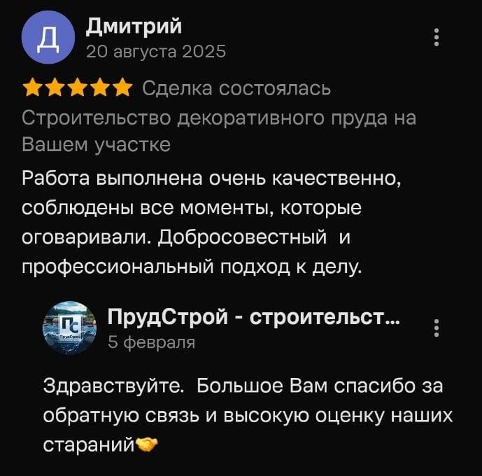 Отзыв Дмитрий — скриншот
