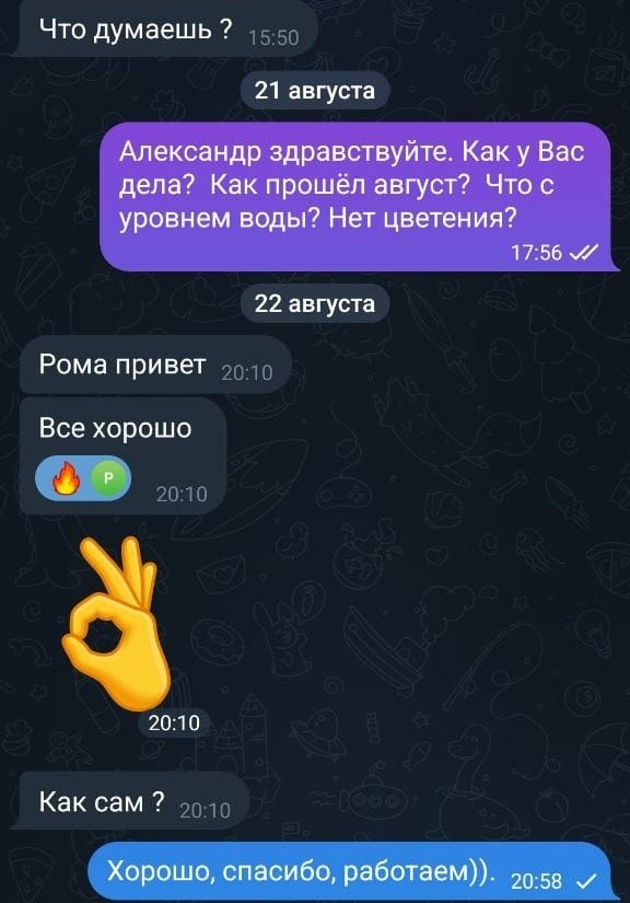 Отзыв Александр — скриншот