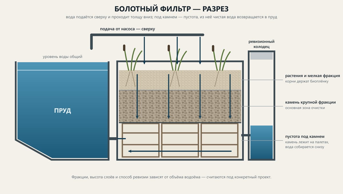 Болотный фильтр — схема устройства
